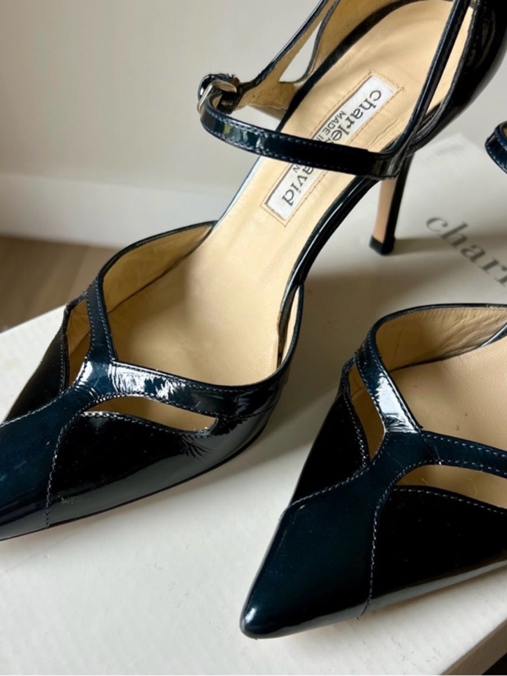 In search of Charles David Women’s Black Patent Leather Pointed Toe Heels